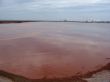 Environmental pollution with toxic fluid