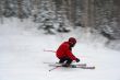 Skier