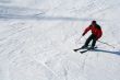 Skier