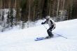 Skier