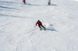 Skier