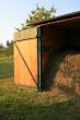 Summer hay