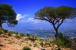 Spanish Landscape