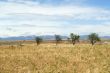 Almudevar-Huesca 2
