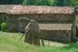 Farm with sheaf