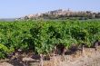 Bages 3