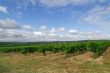 Carcassonne-Limoux 4