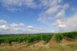 Carcassonne-Limoux 5