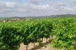 Carcassonne-Limoux 7