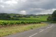 Carcassonne-Limoux 8