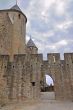 Carcassonne 8