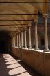 Certosa di Pavia 5