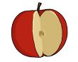 Apple Illustration