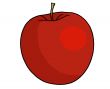 Apple Illustration