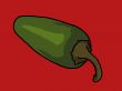 jalapeno pepper illustration