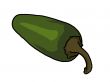 jalapeno pepper illustration