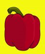 red bell pepper illustration