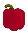 red bell pepper illustration