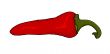 red chili pepper illustration