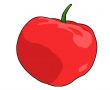Tomato Illustration