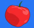 Tomato Illustration