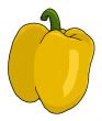 yellow bell pepper illustration