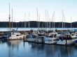 boats at the marina