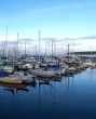 boats at the marina