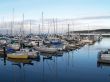 boats at the marina