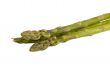 Three Asparagus Shoots