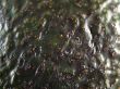 avocado skin