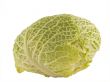 cabbage close up