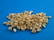 white corn kernels