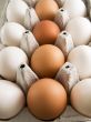 brown and white eggs