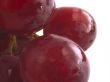 fresh red grapes