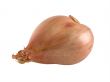shallot