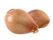 two shallots