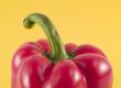 red bell pepper