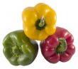 bell peppers