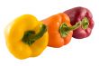 Fresh Red Orange and Yellow Bell Peppers