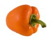 Fresh Orange Bell Pepper