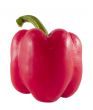 red bell pepper