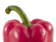 red bell pepper