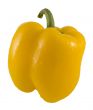 yellow bell pepper