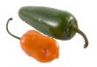 hot peppers