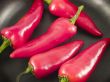 red hot chili peppers in a pan