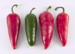 hot peppers