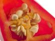 red hot chili pepper seeds