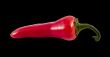 red hot chili pepper