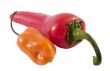 hot peppers